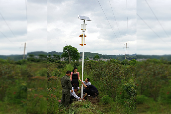 高桿太陽能殺蟲燈應用于江西會昌縣林業圖片